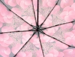 Зонт  женский Zicco, арт.2240-10_product